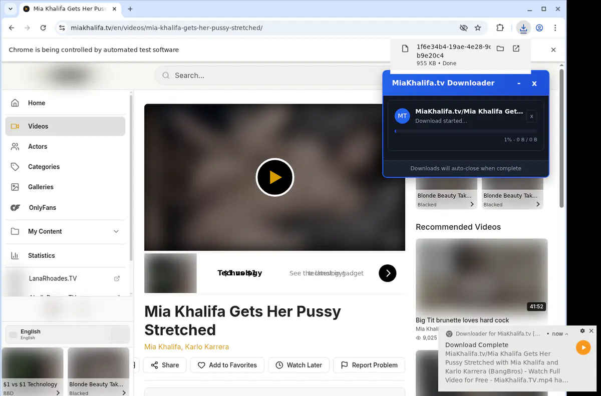 Mia Khalifa TV Video Downloader browser extension screenshot 2